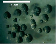 carbon spherules